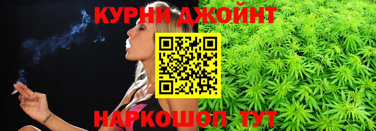 Каннабис план Можайск